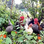 아파트호텔 Farm