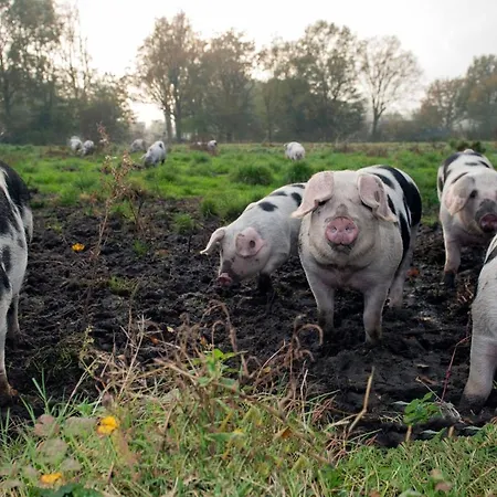 Farm 3*