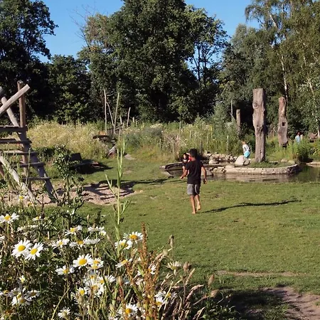 公寓式酒店 阿姆斯特丹法尔姆公寓 3*