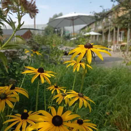 Aparthotel Farm