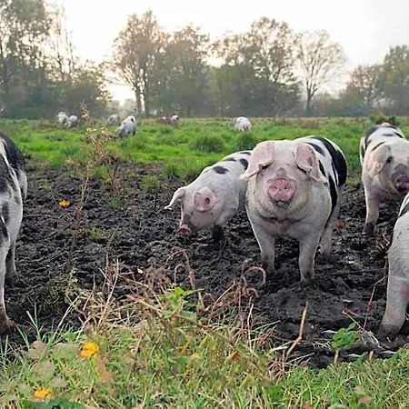 Farm 3* Amsterdam