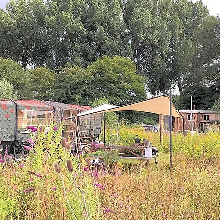 Farm