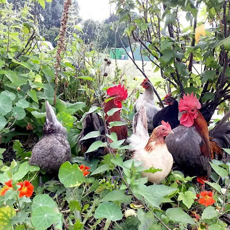 Ξενοδοχείο με διαμερίσματα Farm