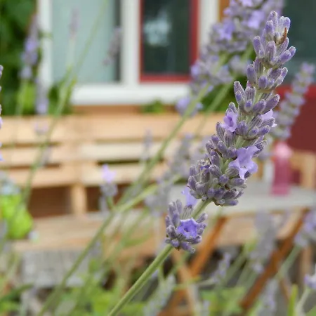 公寓式酒店 阿姆斯特丹法尔姆公寓 3*