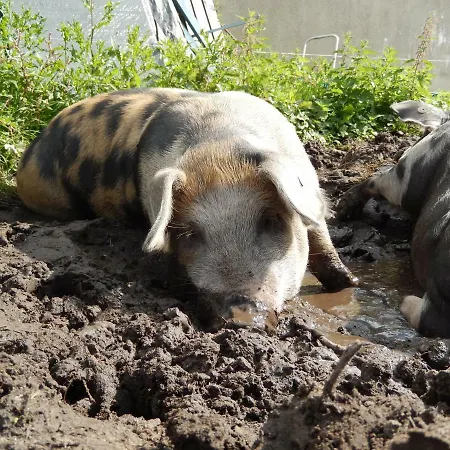 Farm Ξενοδοχείο με διαμερίσματα Άμστερνταμ