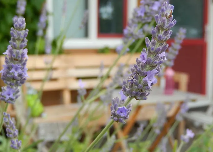 Lejlighedshotel Farm 3*